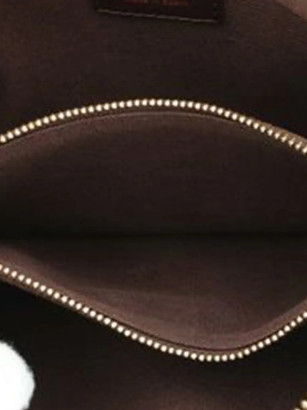 2010 Damier Ebene Brooklyn Bum Bag Belt Bag