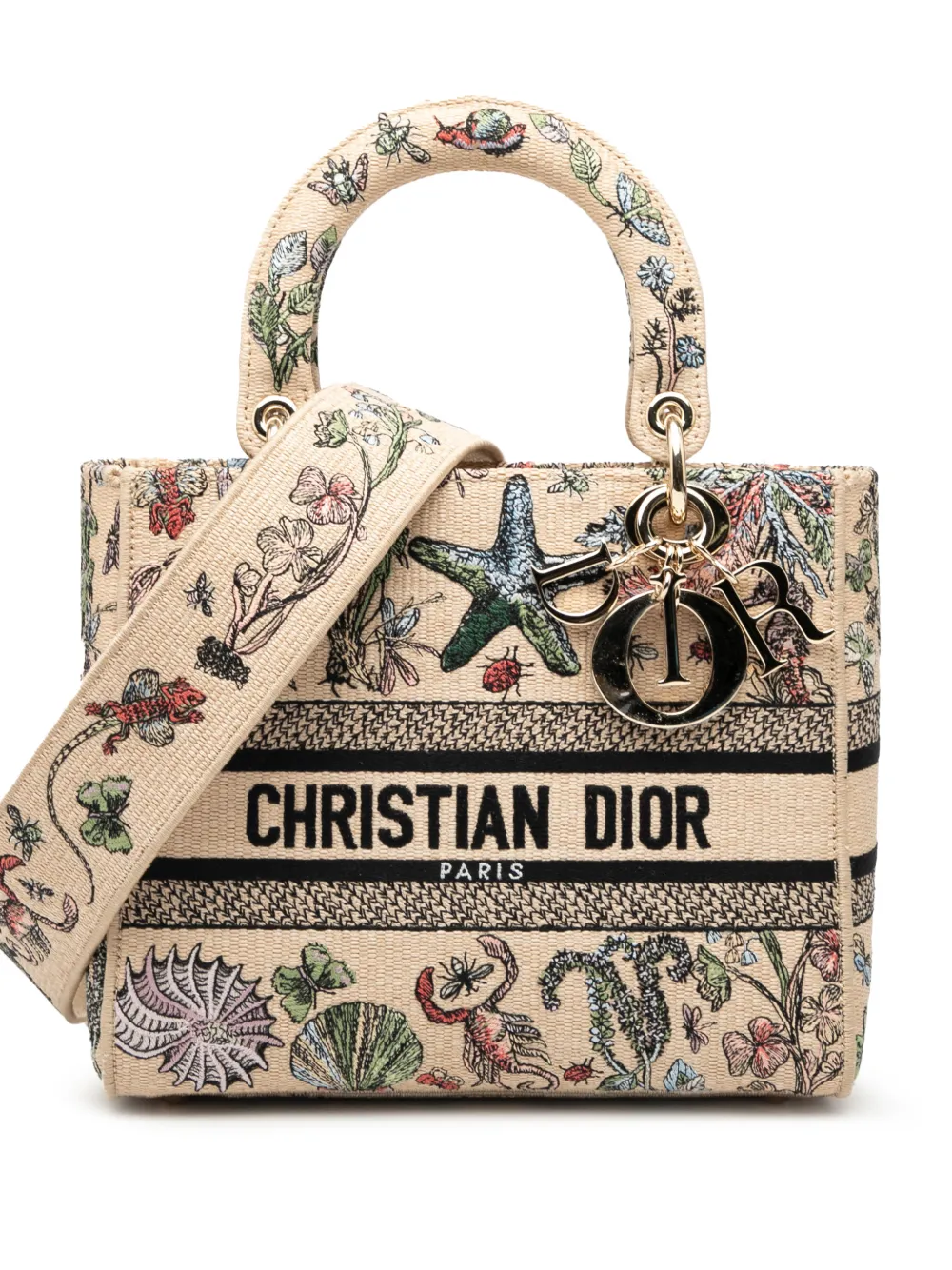 Christian Dior Pre-Owned 2024 Medium Embroidered Canvas Lady D Lite satchel - Braun
