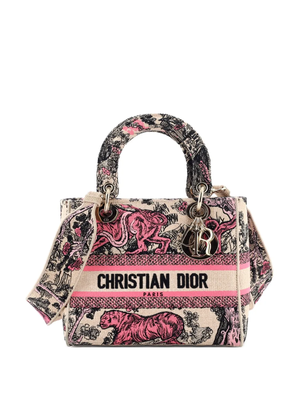 Christian Dior Pre-Owned Lady D-Lite Bag Embroidered Raffia Medium satchel - Toni neutri