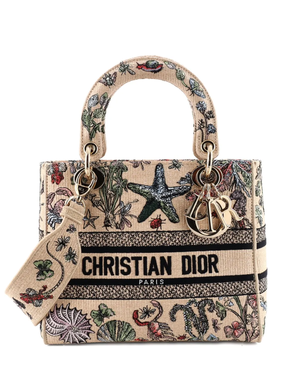Christian Dior Pre-Owned Lady D-Lite Bag Embroidered Raffia Medium satchel - Toni neutri