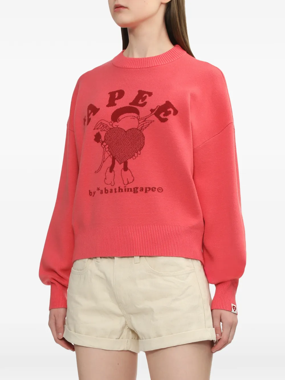A BATHING APE アニマルモチーフ セーター BATHING A APE グラフィック