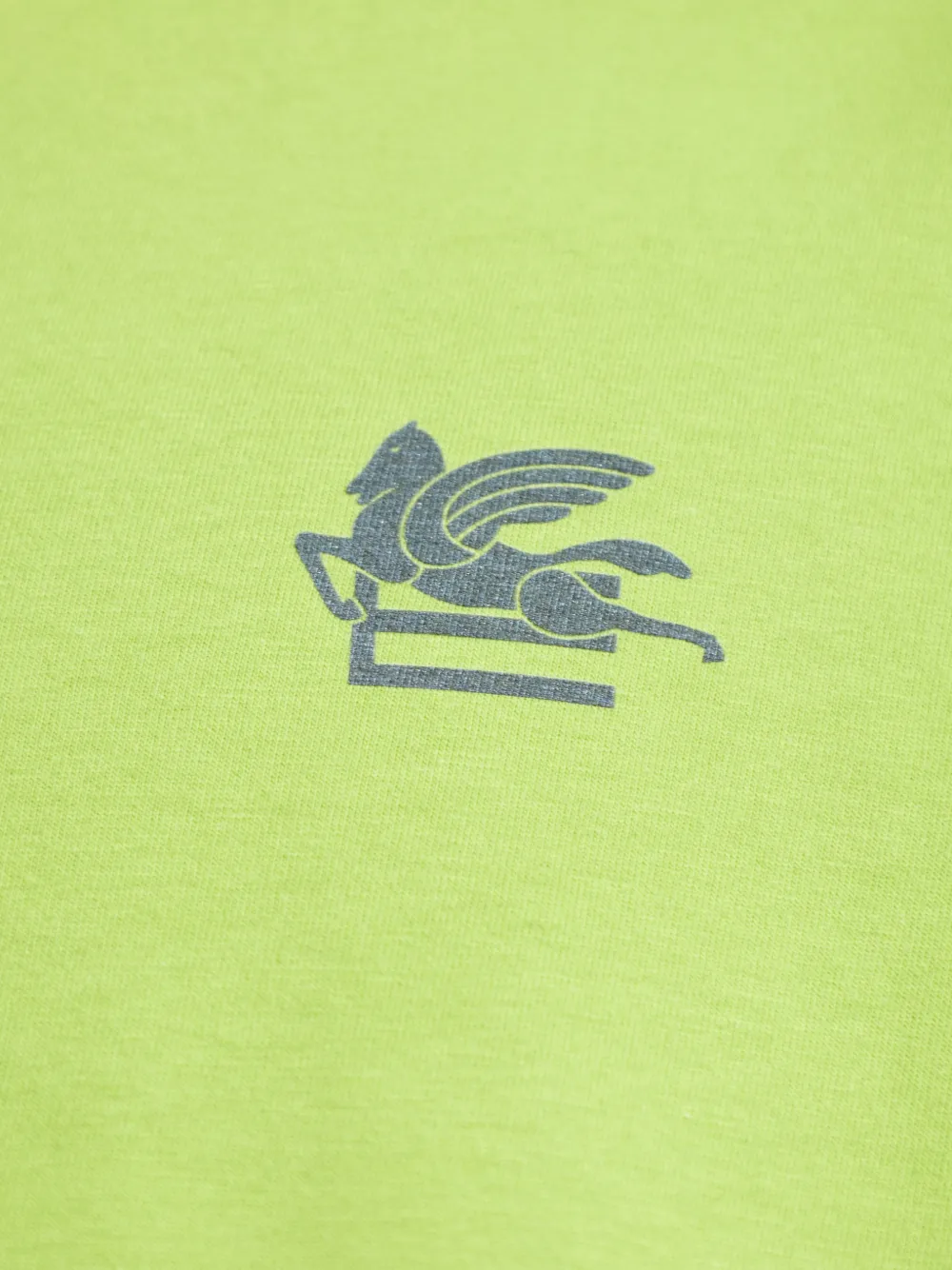 ETRO T-shirt met grafische print Groen