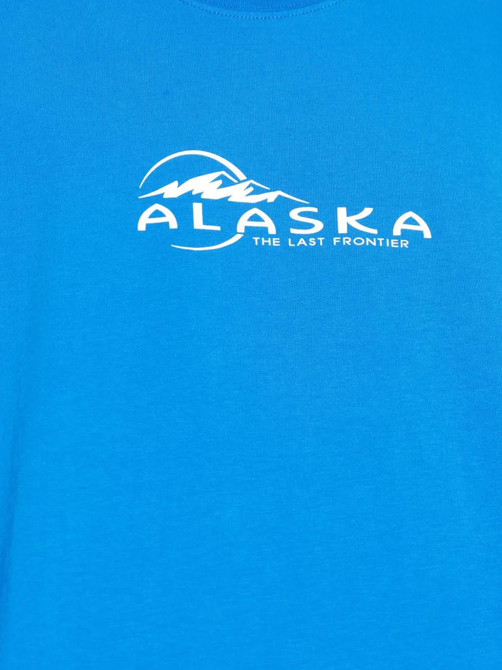 VETEMENTS T-shirt met grafische print Blauw