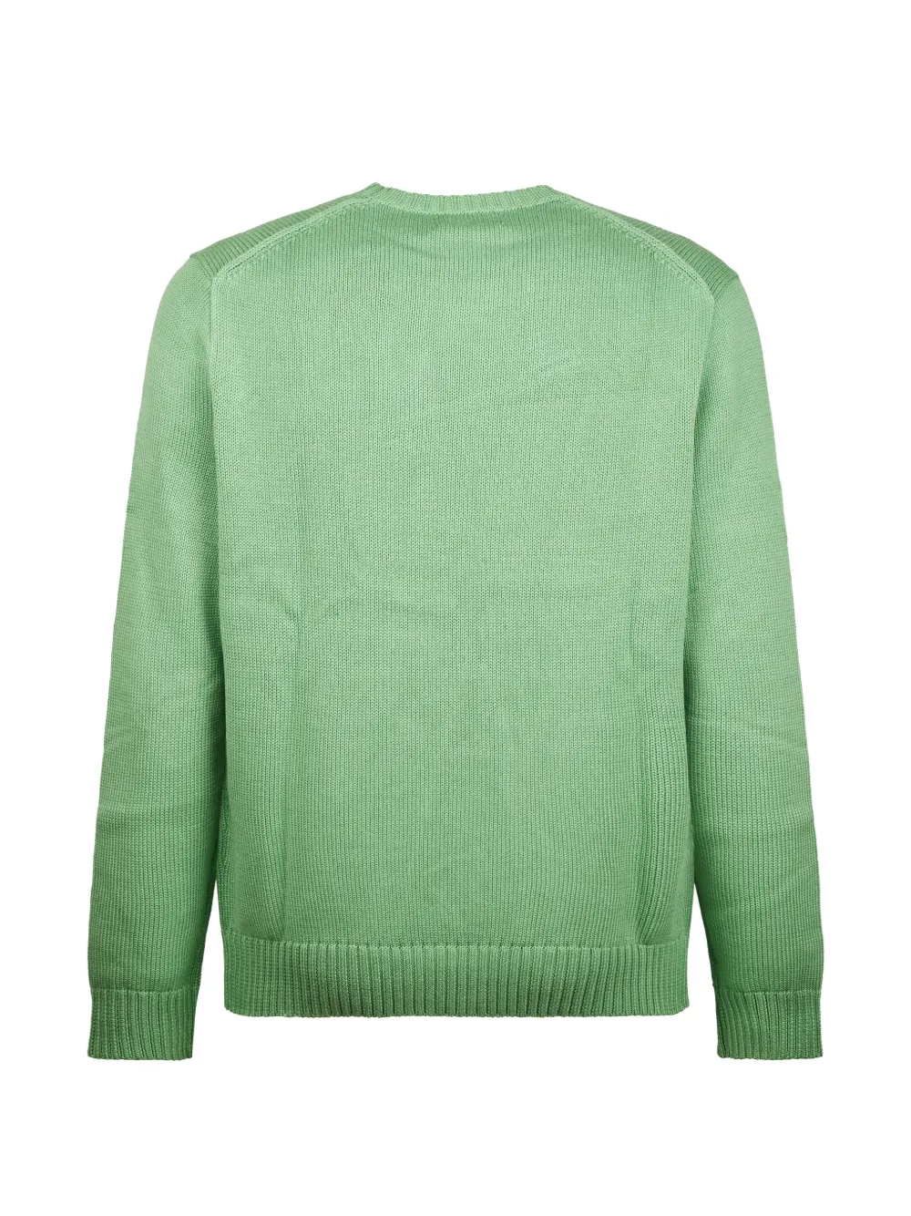 Polo Ralph Lauren Trui met ronde hals Groen