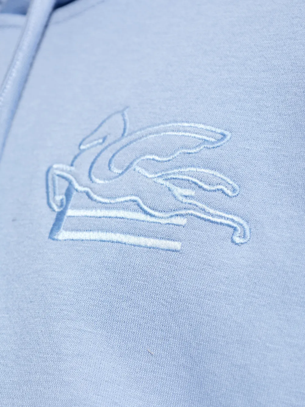 ETRO Hoodie met borduurwerk Blauw