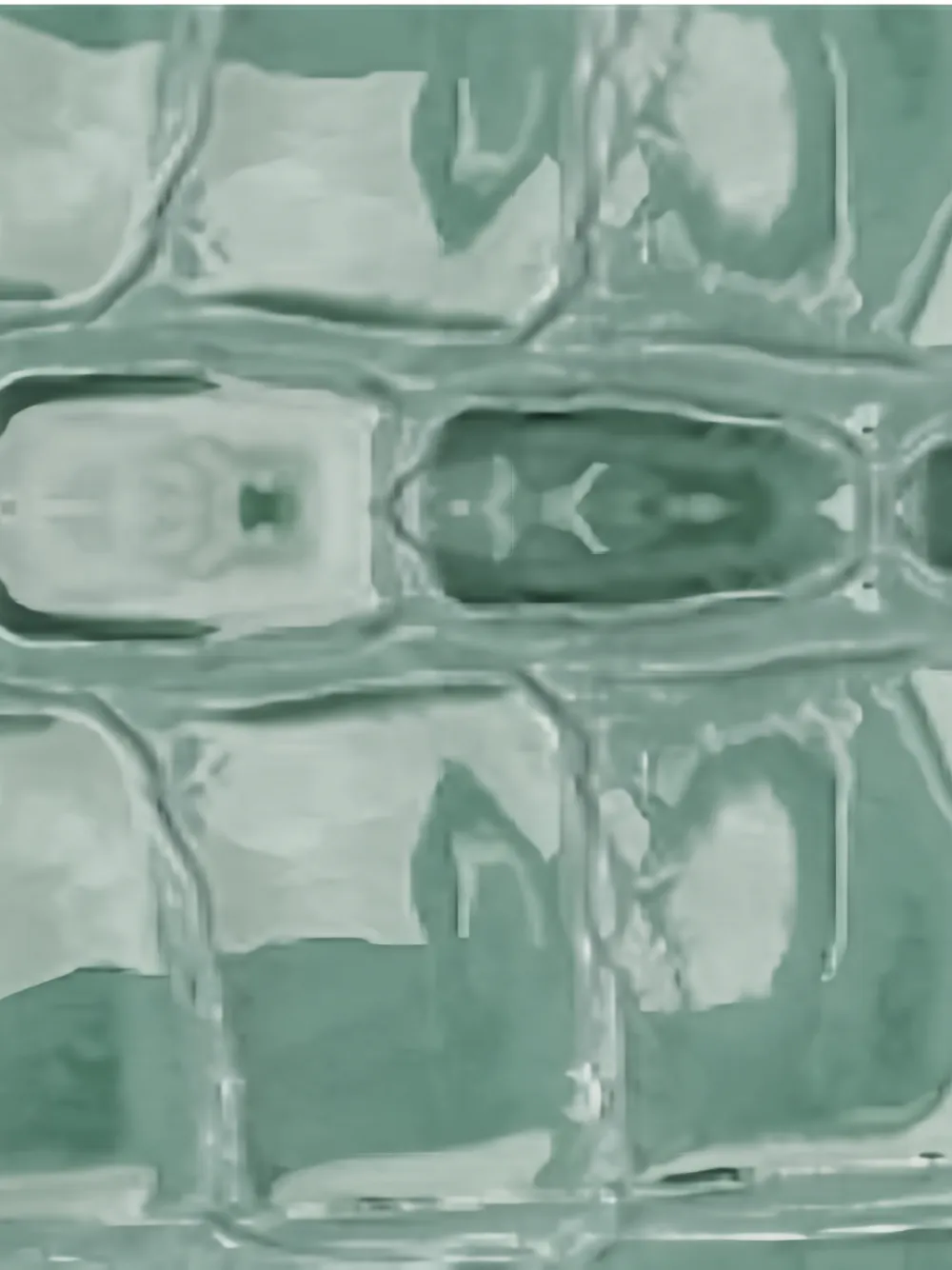 BY FAR Babygirl Fresh slip-on muiltjes met reliëf Groen