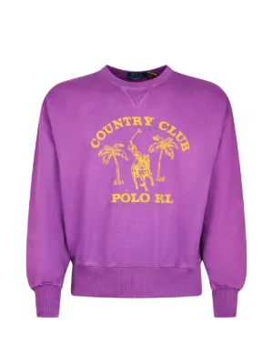 Polo Ralph Lauren Polo Pony quarter-zip Sweatshirt | Blue | FARFETCH