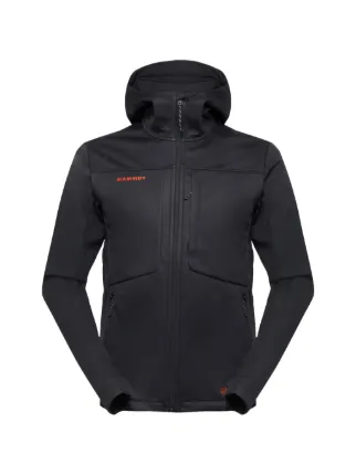 Mammut