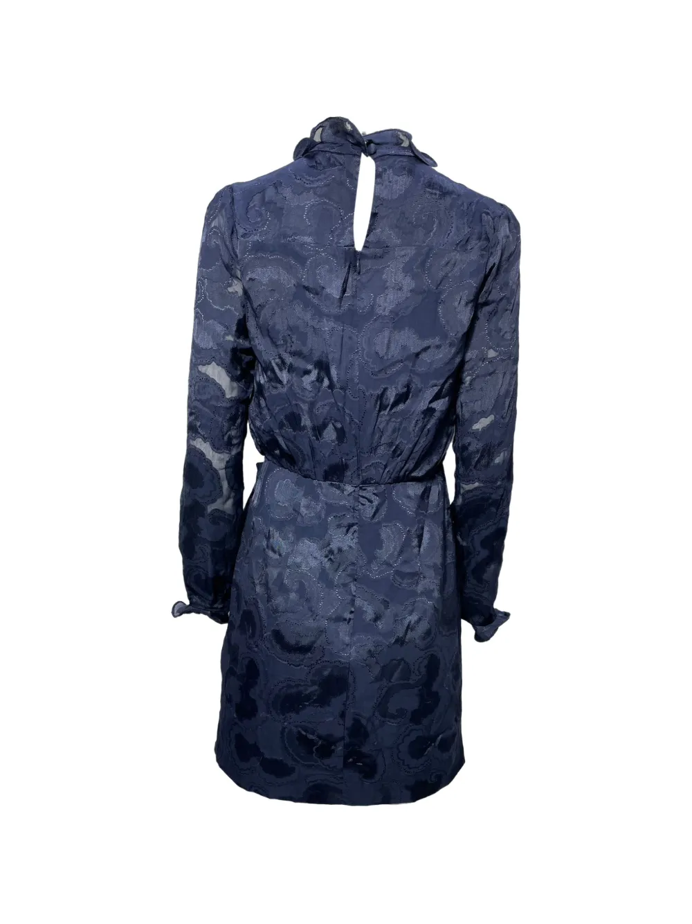 Saloni Rina B ruffled-neck mini dress - Blauw