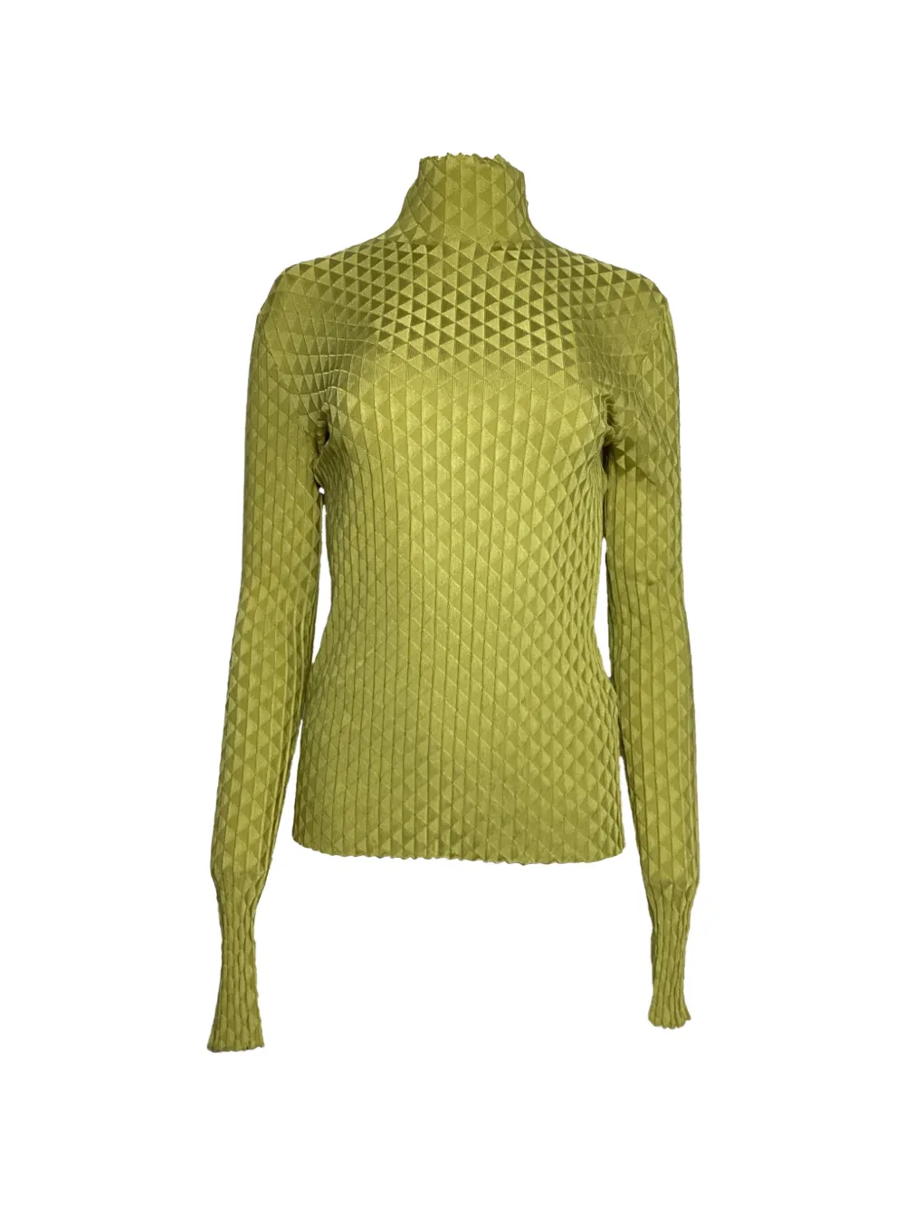 Bottega Veneta Pre-Owned Dragon turtleneck top - Verde