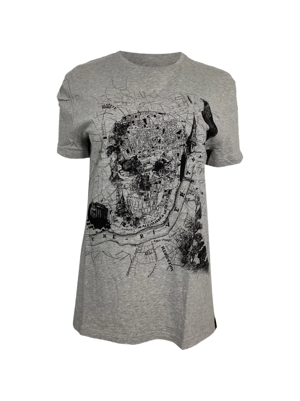 Alexander McQueen Pre-Owned skull-print T-shirt – Grey
