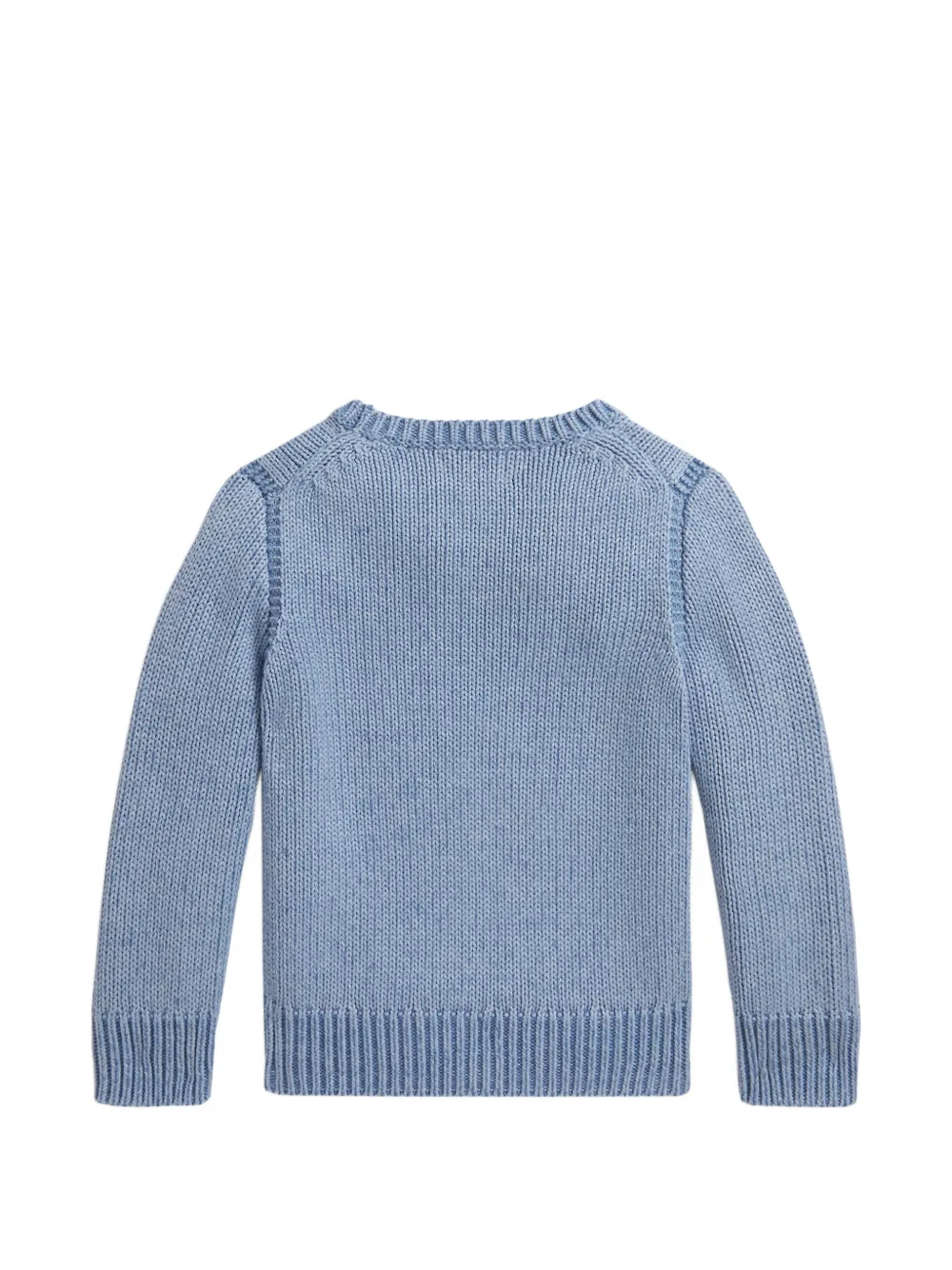 POLO RALPH LAUREN KIDS Flag trui met ronde hals Blauw