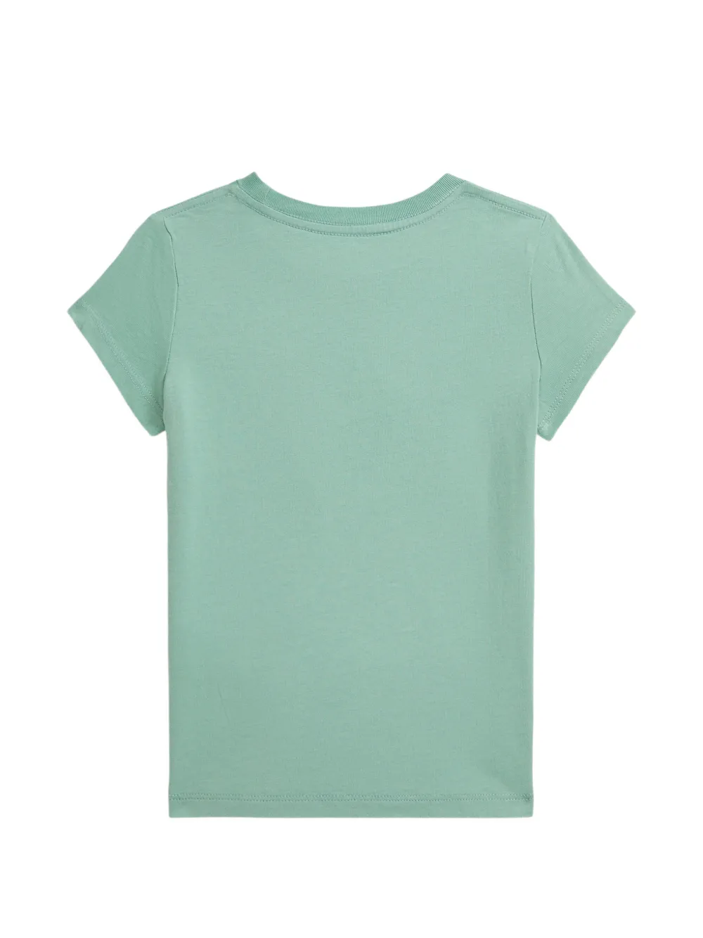 POLO RALPH LAUREN KIDS T-shirt met puppy print Groen