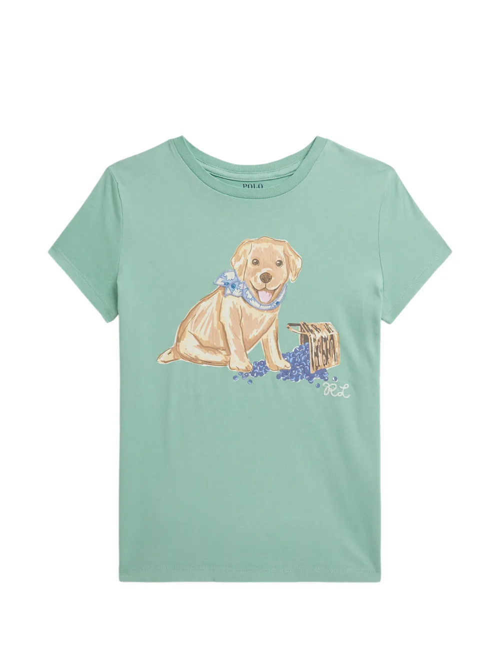 POLO RALPH LAUREN KIDS T-shirt con stampa - Verde