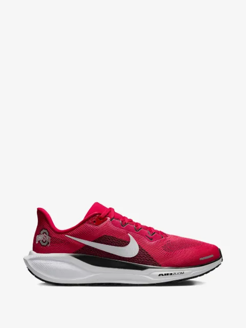 Nike tenis Ohio State Pegasus 41