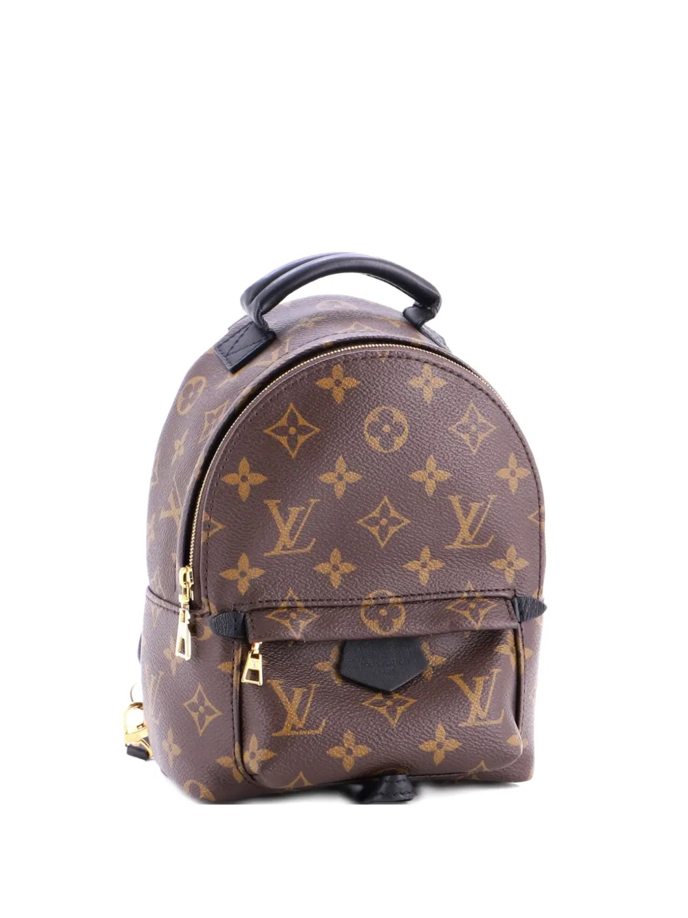 Louis Vuitton Pre-Owned Palm Springs Monogram Canvas Mini backpack - Schwarz