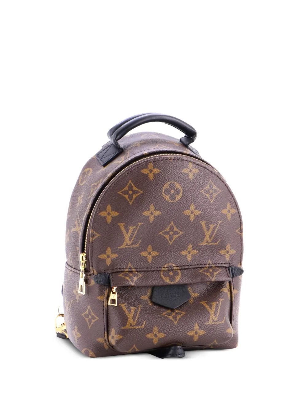 Louis Vuitton Pre-Owned Palm Springs Monogram Canvas Mini backpack - Nero
