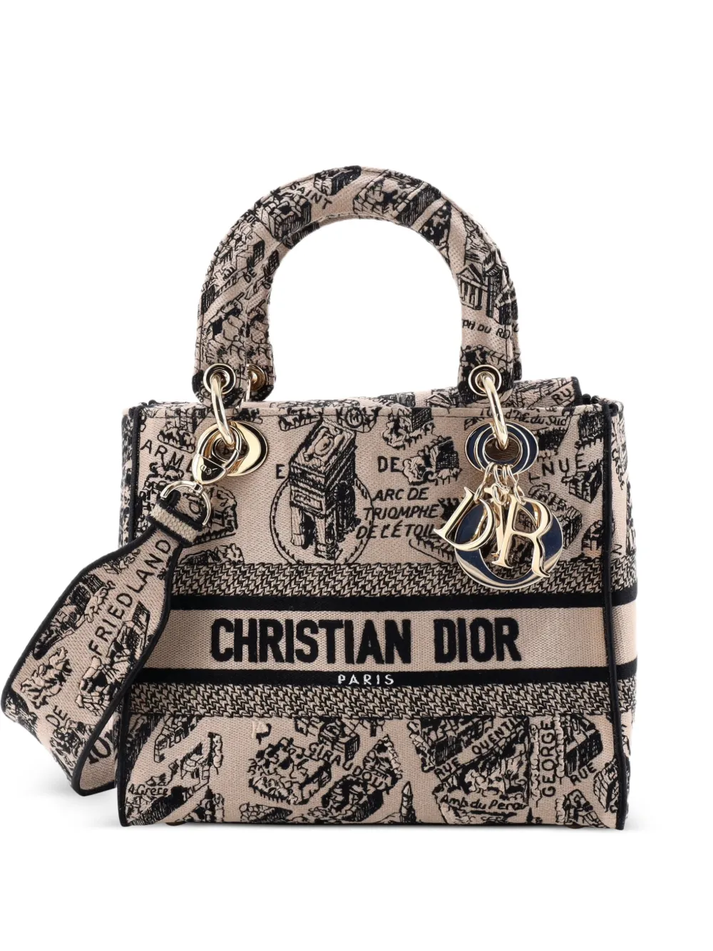 Christian Dior Pre-Owned Lady D-Lite Bag Embroidered Canvas Medium satchel - Nero