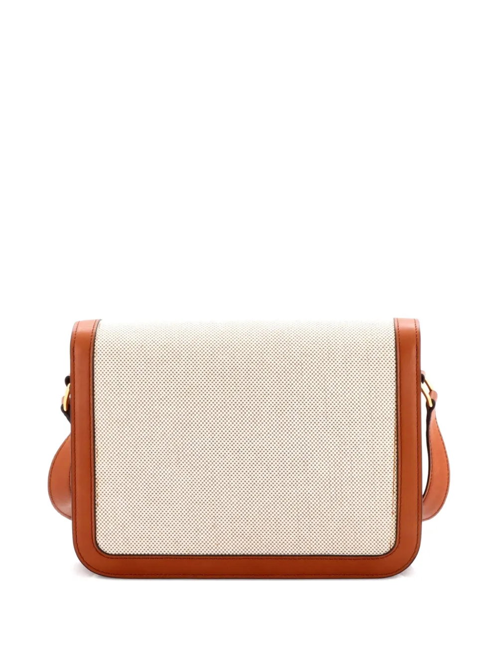 Triomphe Shoulder Bag Canvas with Leather Medium crossbody bag