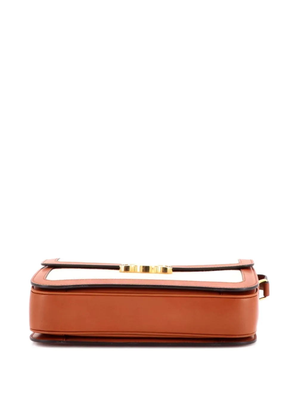Triomphe Shoulder Bag Canvas With Leather Medium Crossbody Bag