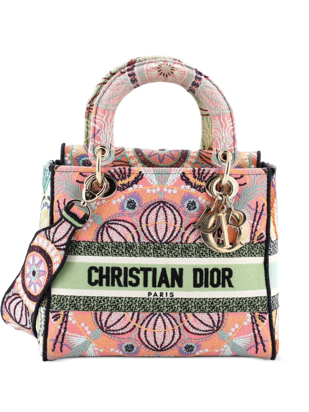 Christian Dior Pre-Owned Lady D-Lite Bag Embroidered Canvas Medium satchel - Mehrfarbig