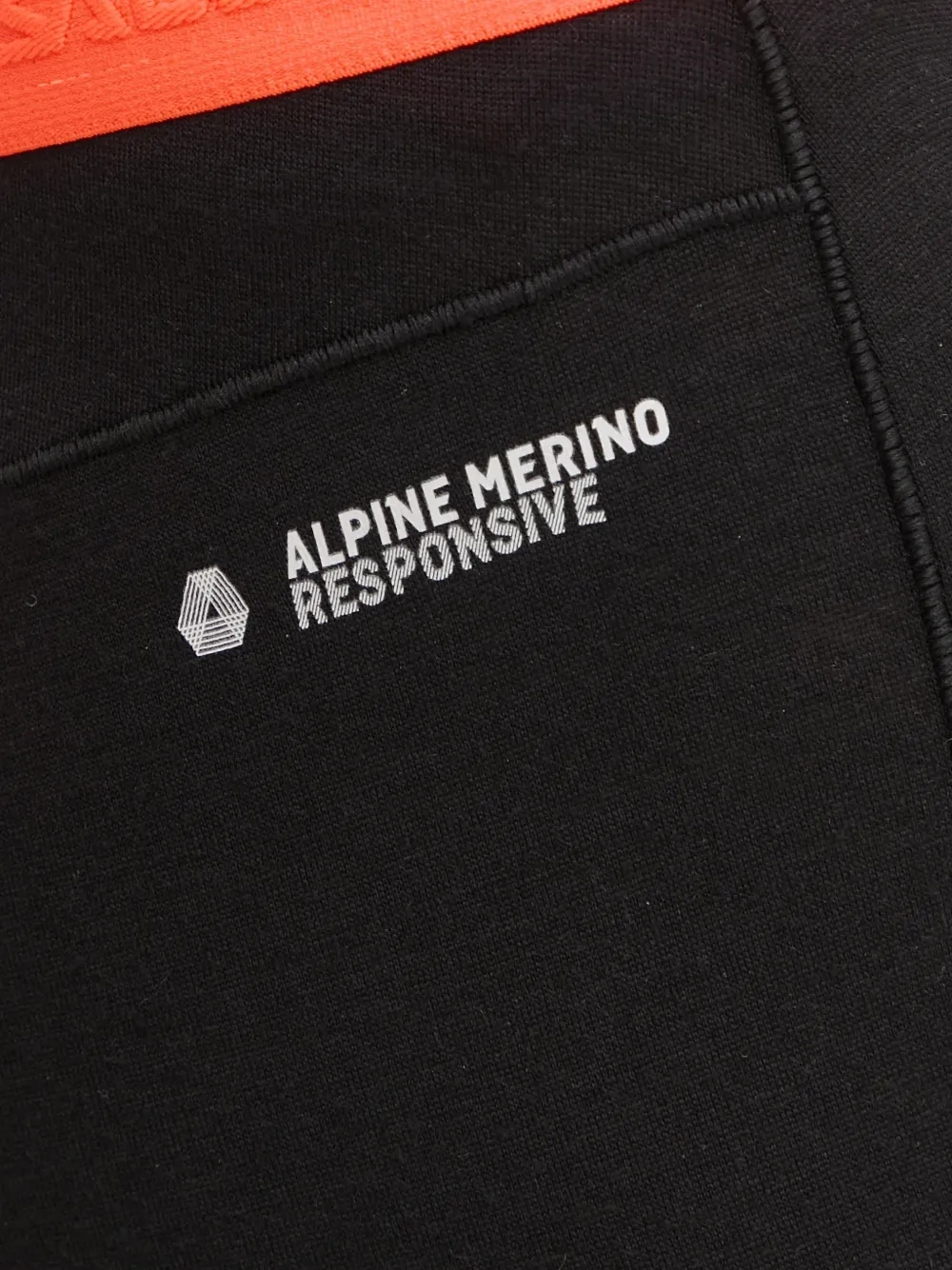 Salewa Alpine Responsive skibroek Zwart