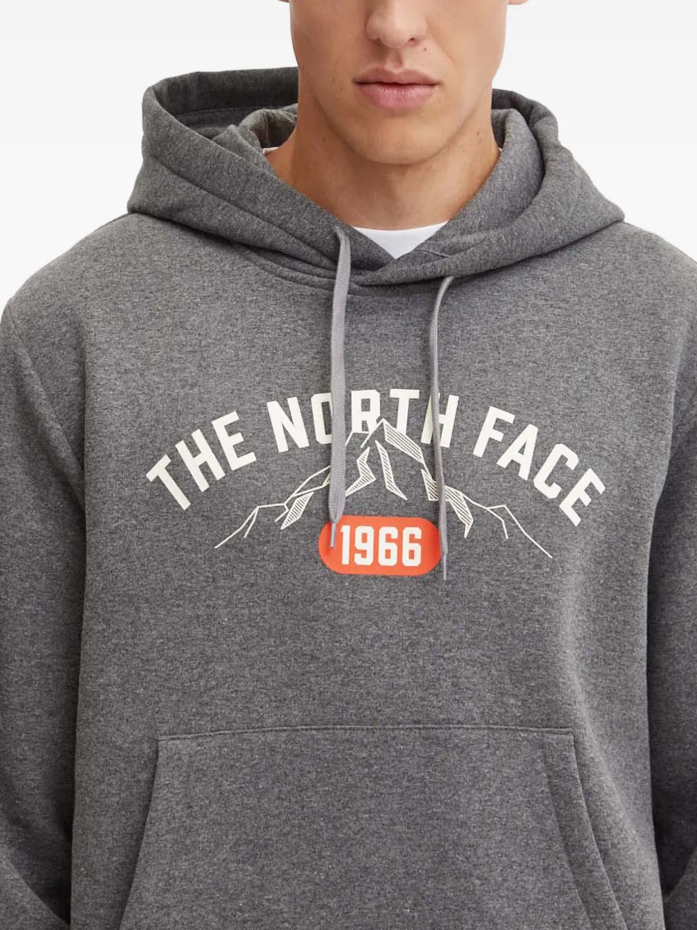 The North Face Trui met capuchon en print Grijs