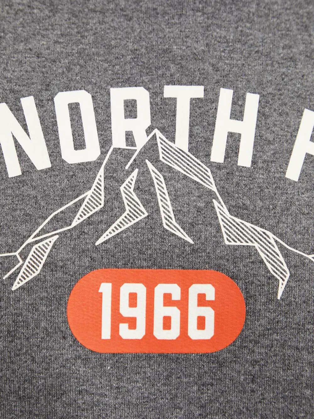 The North Face Trui met capuchon en print Grijs