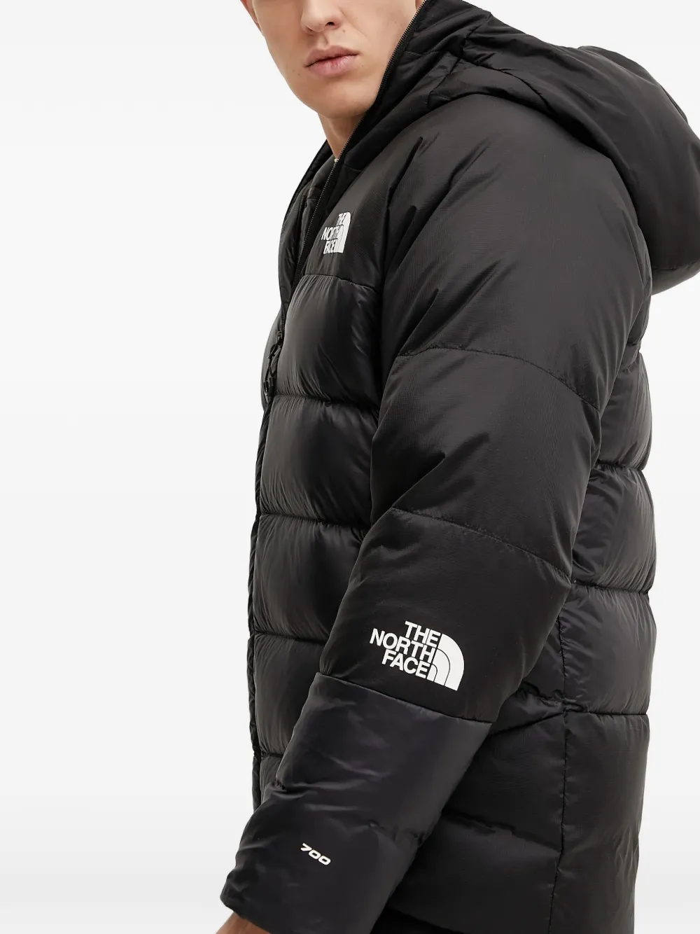 The North Face Gevoerd jack met capuchon Zwart
