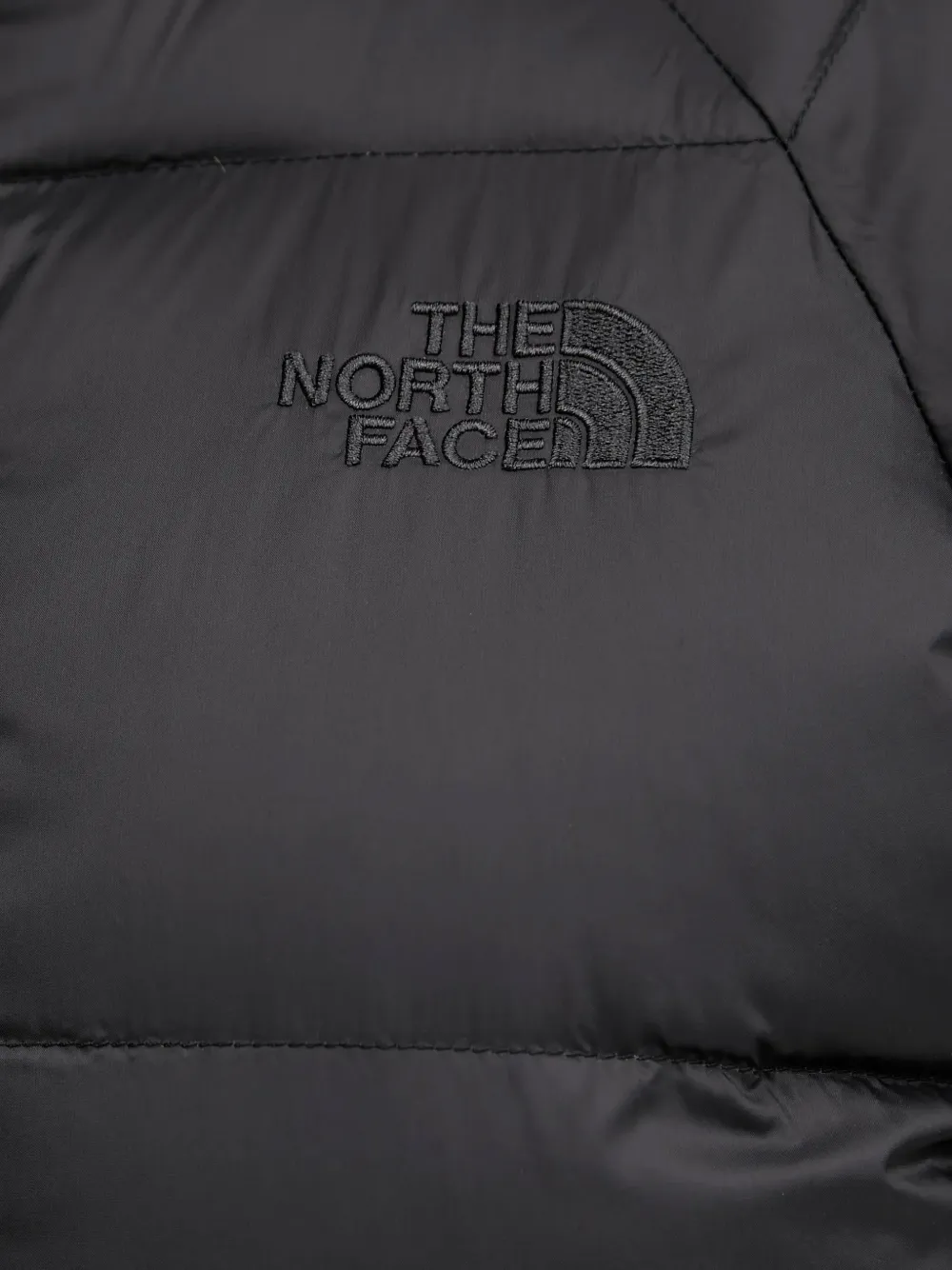 The North Face Donsjas met capuchon Zwart