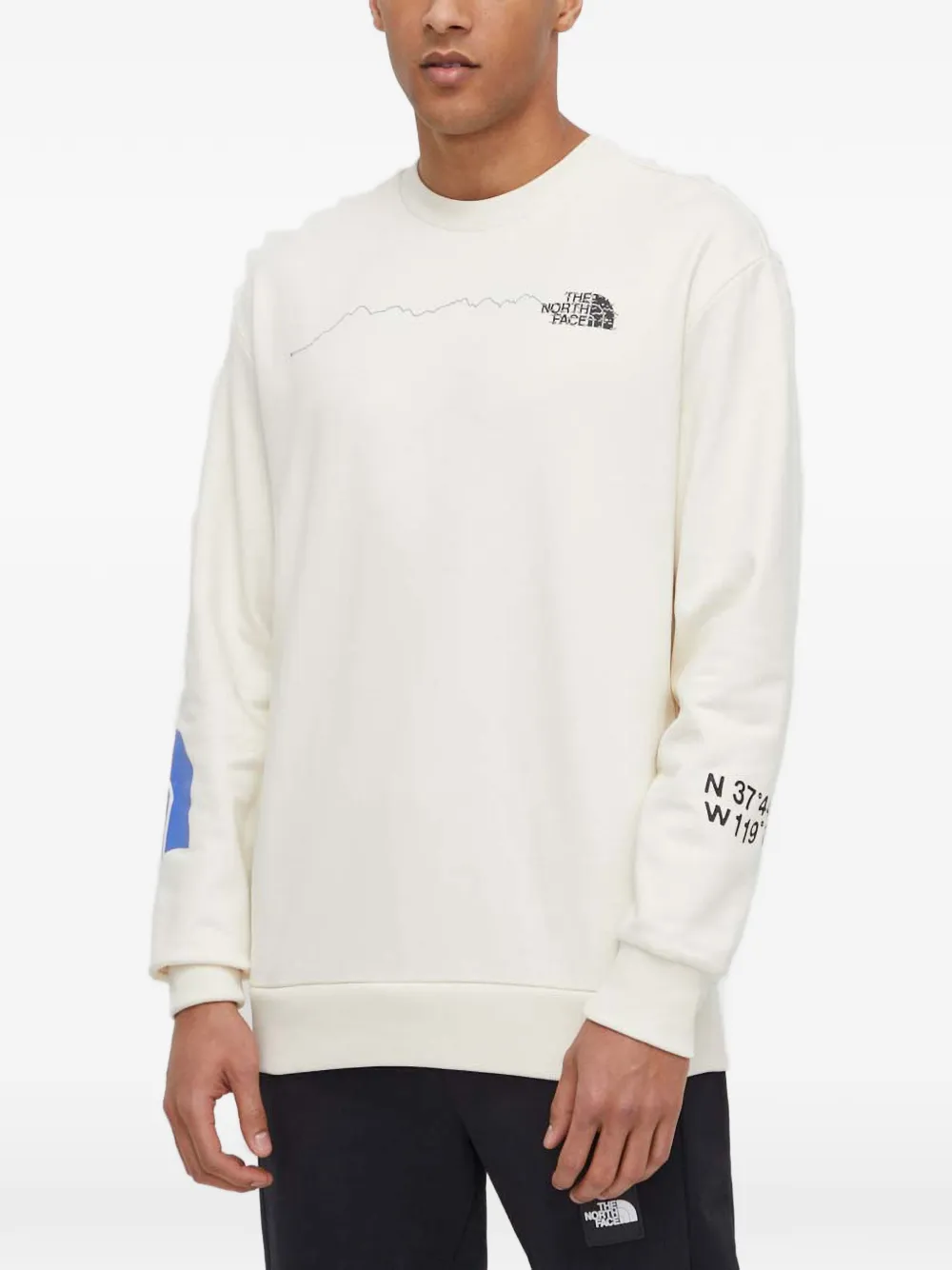 The North Face logo-print sweater