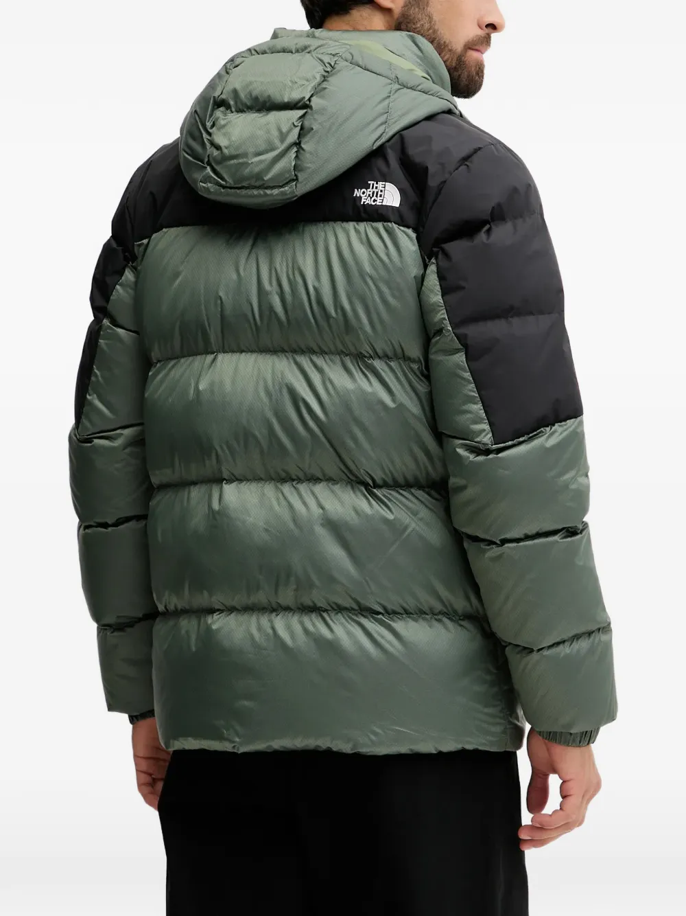 The North Face Gewatteerd jack met capuchon Groen