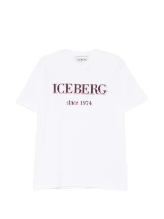 Iceberg
