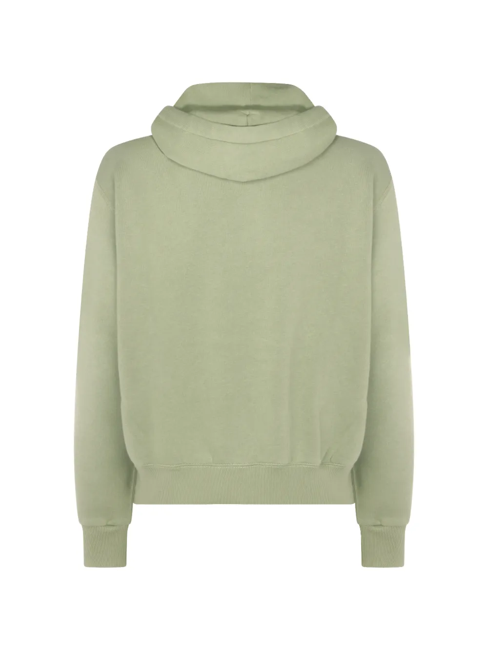 Polo Ralph Lauren zip hooded cotton hoodie - Groen