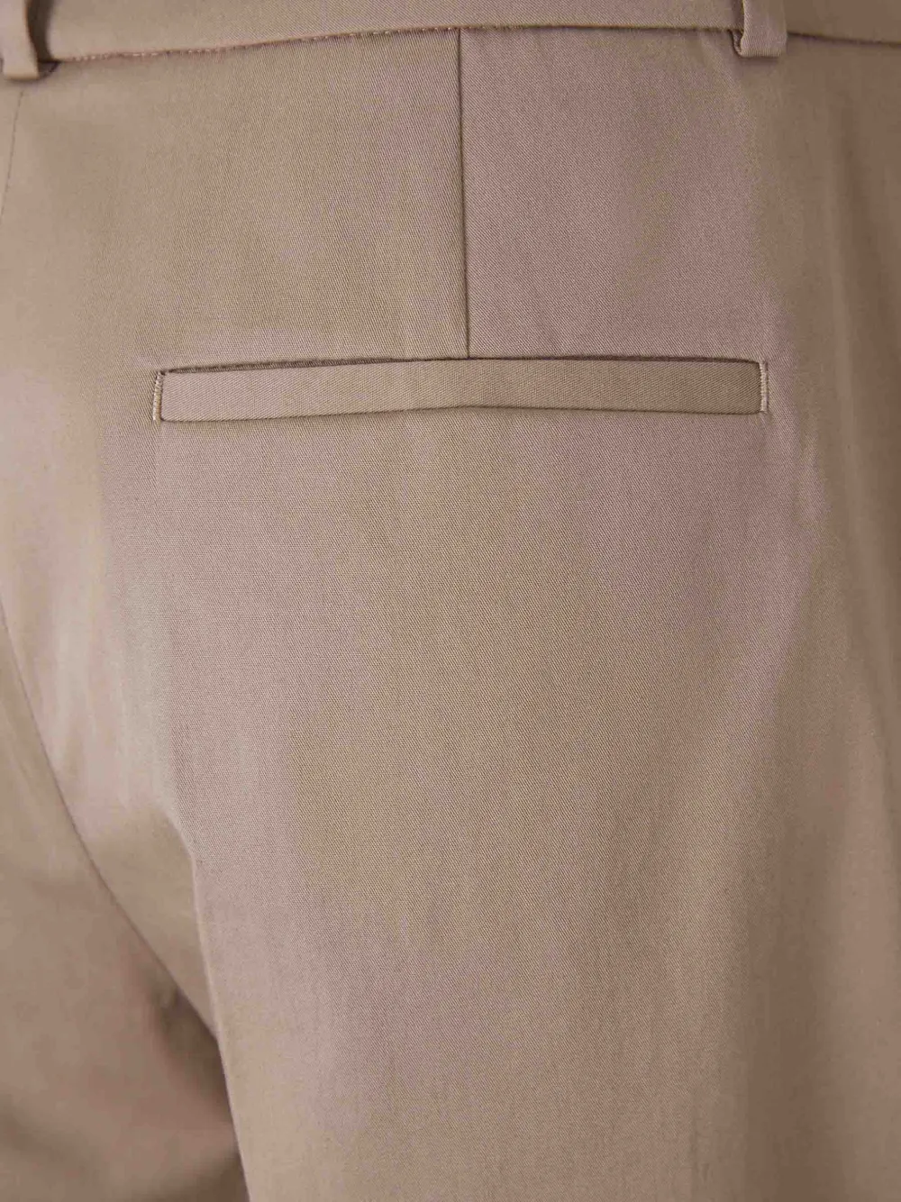  Peserico Tailored Trousers - Neutrals 