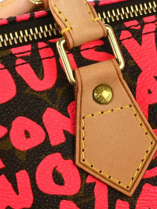 Louis Vuitton Pre-Owned x Stephen Sprouse 2008 Speedy 30 Monogram