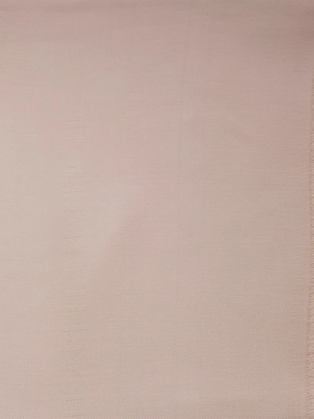  Elisabetta Franchi Fringed Scarf - Neutrals 