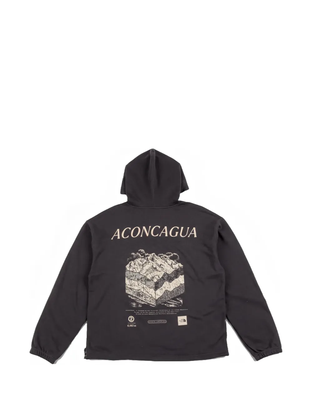 The North Face Places We Love hoodie Grijs