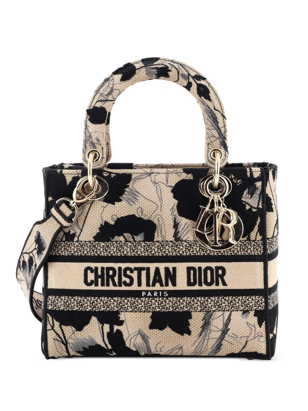 Christian Dior Pre-Owned Lady D-Lite Bag Embroidered Canvas Medium satchel - Schwarz