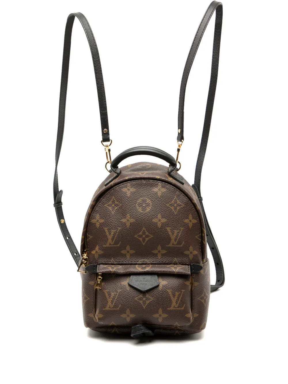 Louis Vuitton Pre-Owned 2016 Monogram Mini Palm Springs backpack - Marrone