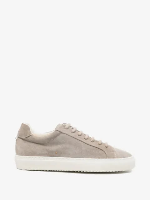 Doucal's tenis con agujetas
