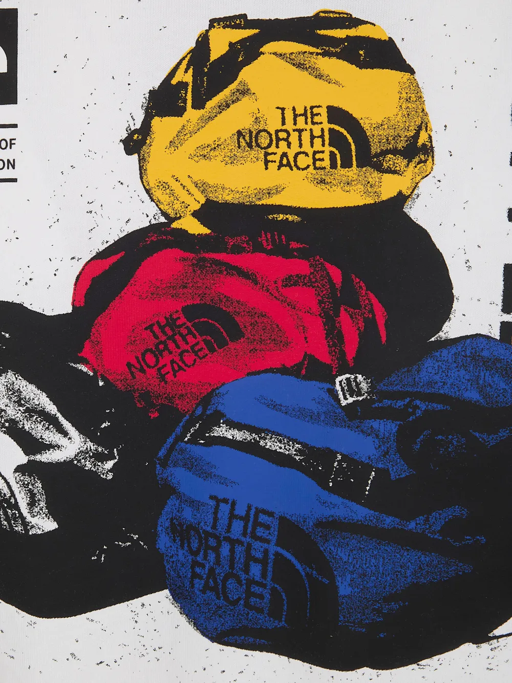 The North Face BCD Celebration T-shirt met print Wit