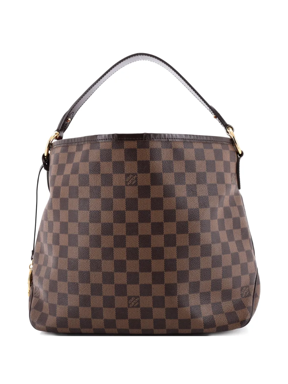 Louis Vuitton Pre-Owned Delightful NM Handbag Damier PM hobo bag - Marrone