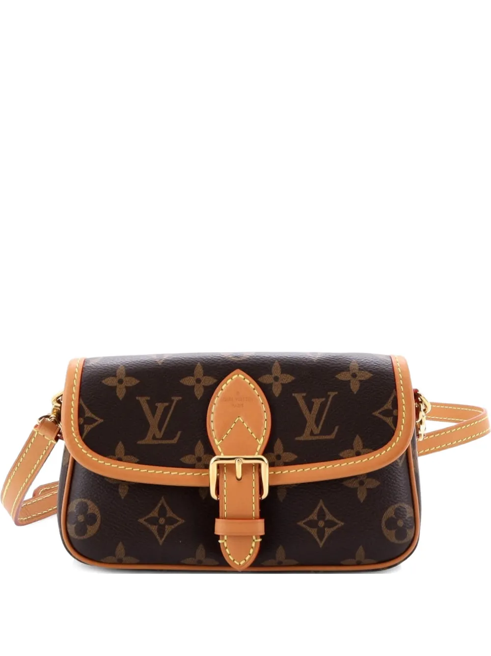 Louis Vuitton Pre-Owned Diane NM Handbag Monogram Canvas Nano shoulder bag - Marrone