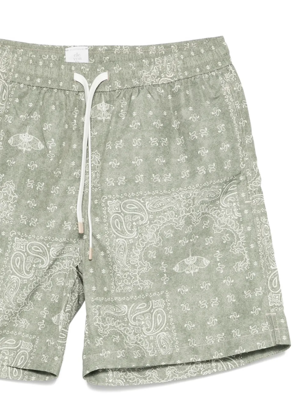 Paisley Swim Shorts