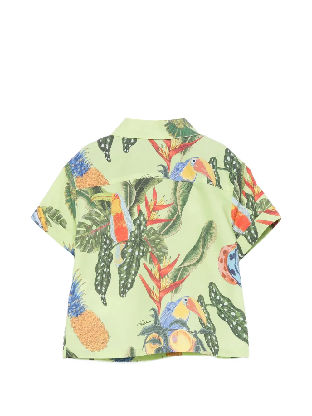 Roberto Cavalli Junior Top met tropische print Groen