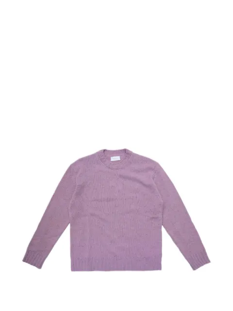 Diana Studio crew-neck ribbed sweater
