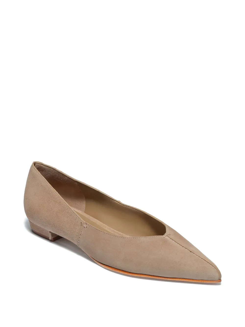 Lana Pointed Ballet Flats