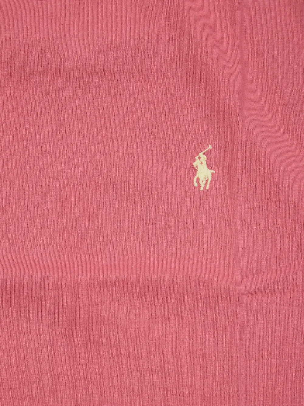 POLO RALPH LAUREN KIDS T-shirt met borduurwerk Rood