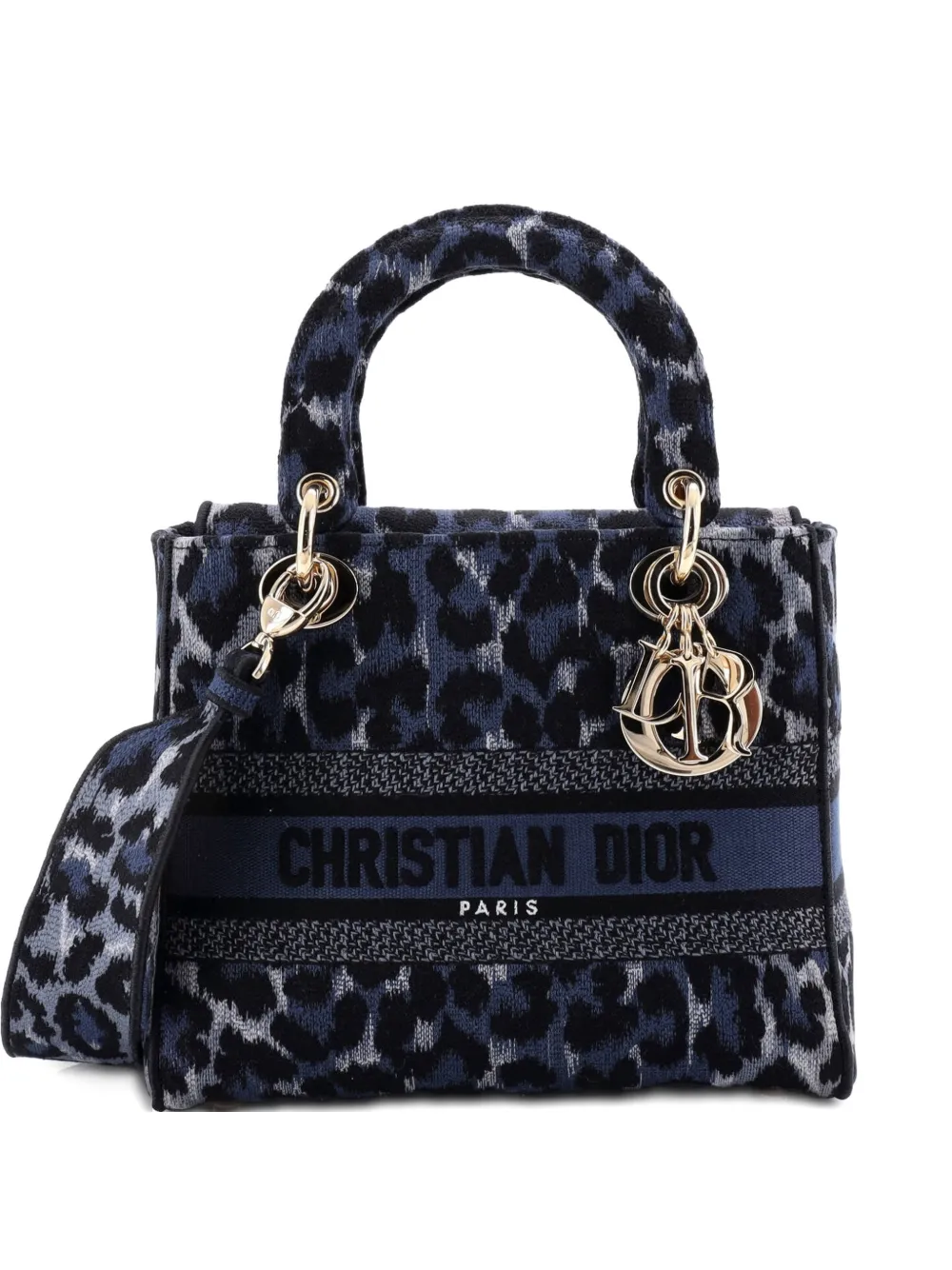 Christian Dior Pre-Owned Lady D-Lite Bag Mizza Embroidered Canvas Medium tote bag - Blu